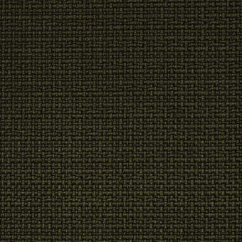 Olive green fabric sample displaying a dense, irregular weave and matte finish with a heathered, granular texture; identified as Iris 801.